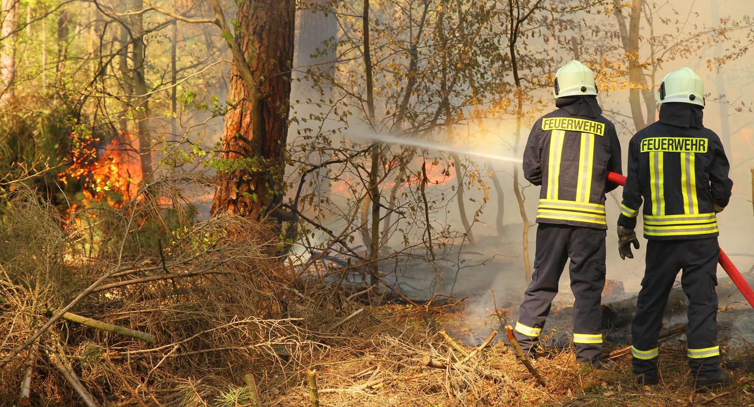 Experten warnen: Brandgefahr im Reichswald gestiegen 