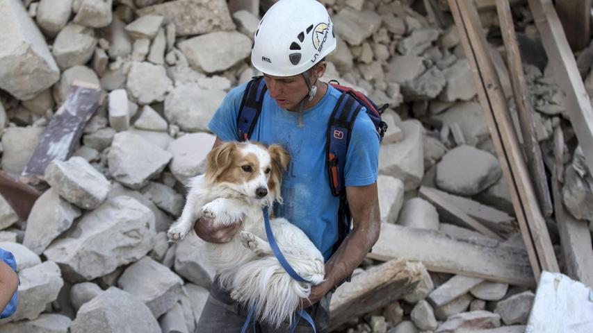 Tote und Zerstörung: Erdbeben erschüttert Italien
