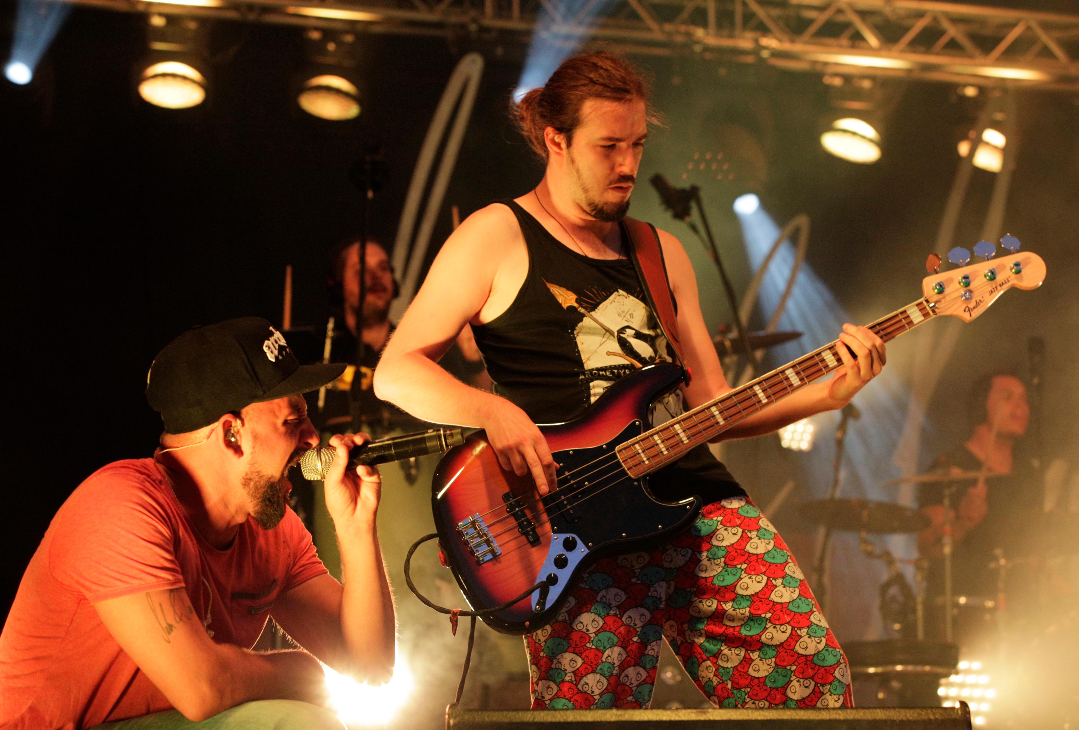 "Ham kummst" Austropop mit Seiler und Speer in Nürnberg Kultur