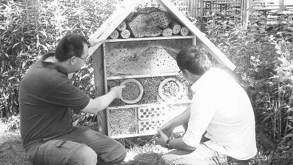 Viel über das Werk der Bienen erfahren