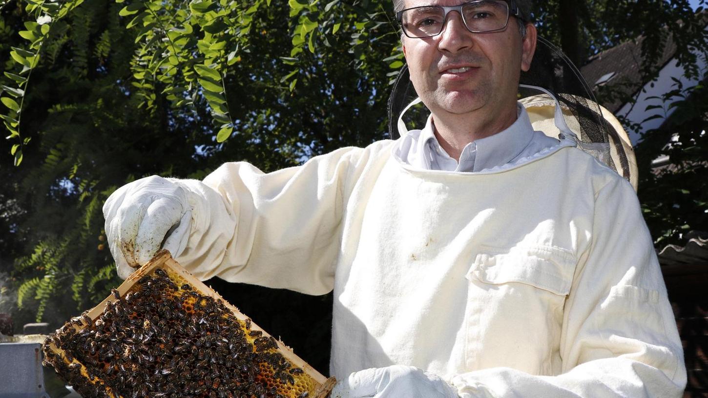 Bienenköniginnen werden durch Gift-Cocktail belastet  