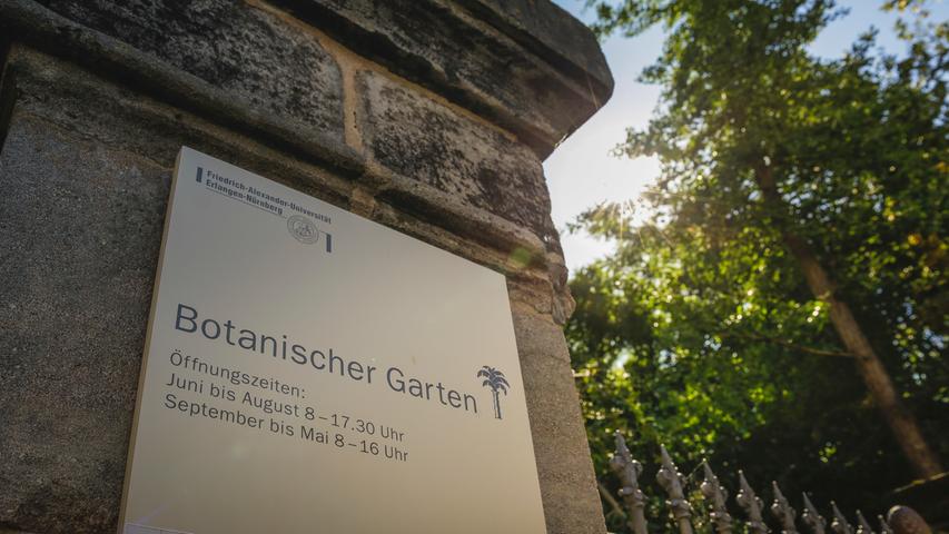 Grüne Lunge in Erlangen: Schlossgarten und Botanischer Garten 