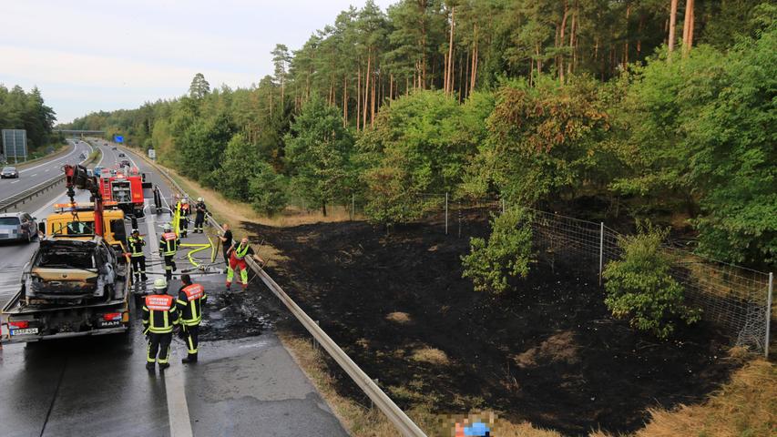 Wenige Meter vor dem Hochwald konnten die Einsatzkräfte der Feuerwehr den das Brand stoppen.