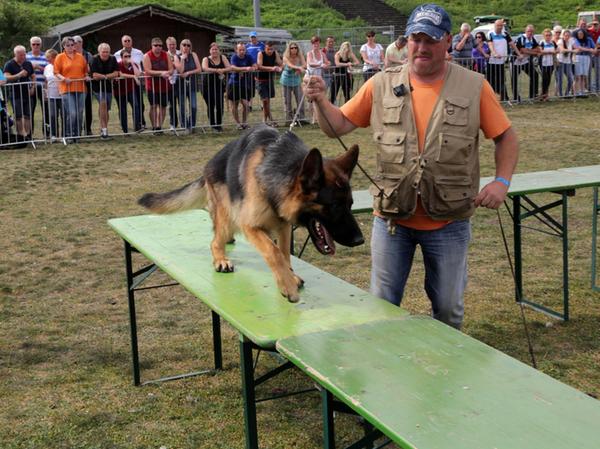 Großer Laufsteg für haarige Schönheiten