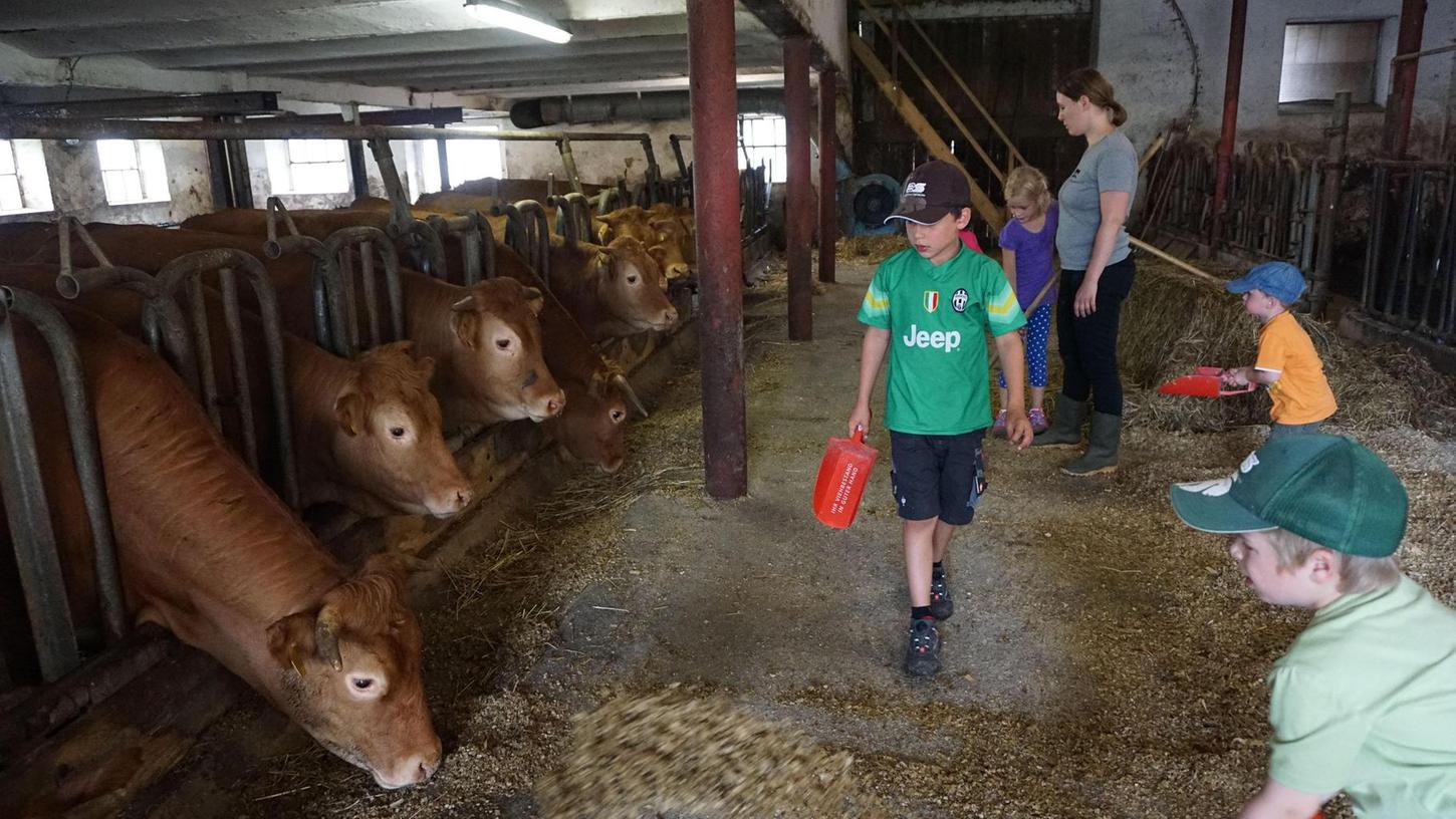Erlebnis Bauernhof: Gerne packen die Kinder mit an, wenn die Kühe im Stall gefüttert werden. Petra Sollmann zeigt den Kleinen spielerisch, woher viele unserer Lebensmittel stammen und wie sie produziert werden.