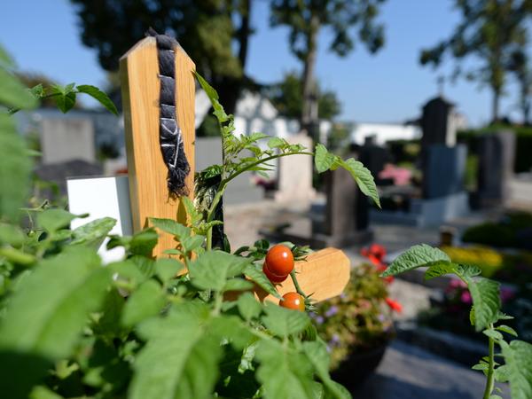 Die Toten mochten Tomaten gerne. Die Toten mochten Tomaten gerne.
