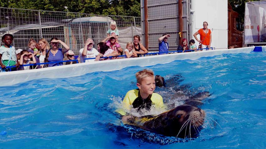 Ein unvergesslicher Spaß für die Kids: Seelöwen-Surfen...