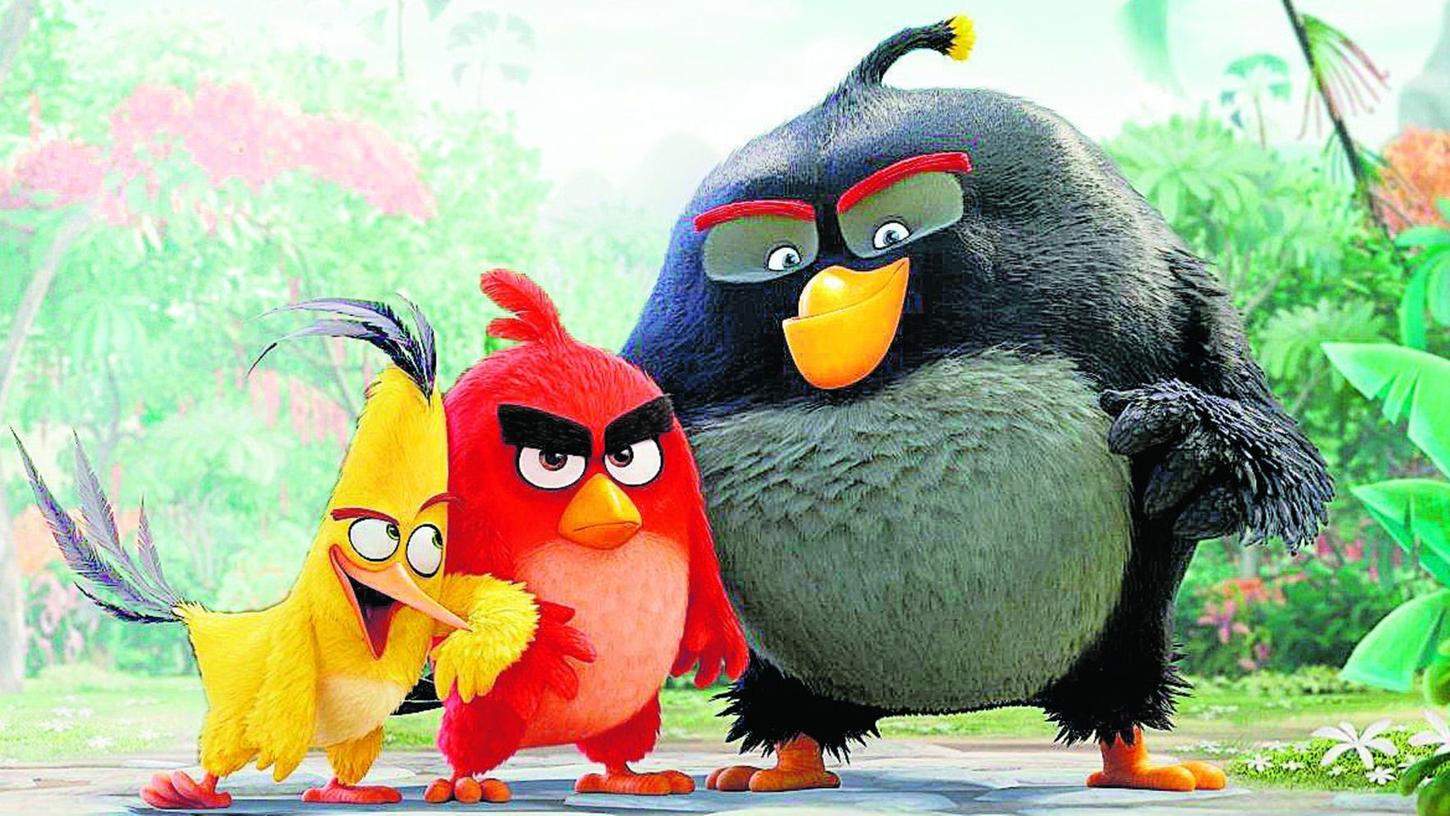 Bamberger Studenten sind Angry-Birds-Champs
