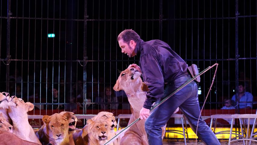 Nashorn, Löwen, Elefanten: Circus Krone fährt in Neumarkt alles auf