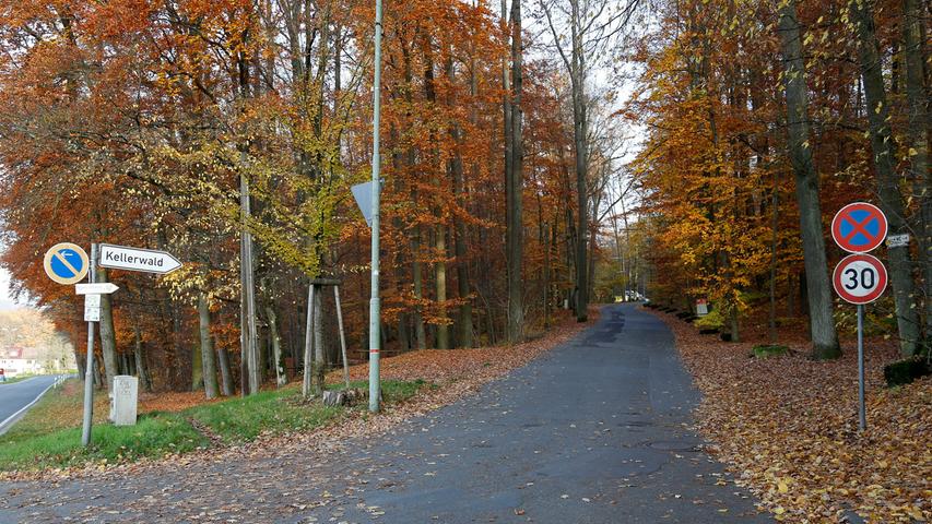 In Forchheim sind die Keller oben - auf den Höhen des Kellerwalds. Besonders schön wird es, wenn sich das Laub der teils uralten Eichen im Kellerwald rot-braun färbt.