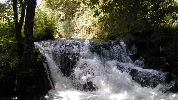 Das Aufsesstal von Doos zur Kuchenmühle ist ein Tipp für alle, die Ruhe genießen wollen: Hier gibt es mangels Straße keinen Autoverkehr, dafür aber jede Menge eindrucksvolle Natur.