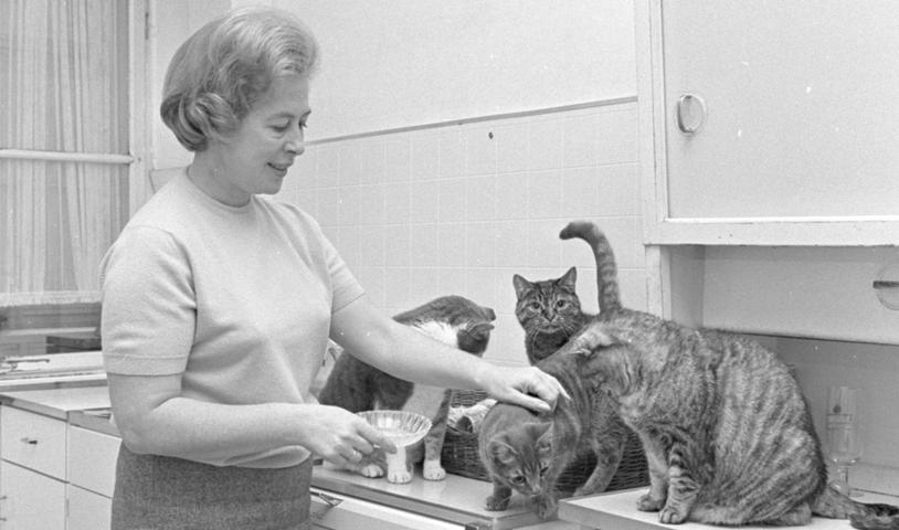 Ein Platz für brave Tiere: in einem Mietshaus am Kontumazgarten werden fünf Katzen von Frauchen gehegt und gepflegt. Diese Tiere sind offensichtlich gut aufgehoben... Hier geht es zum Artikel vom 1. Oktober 1966: Der Katzenjammer über viele Verbote.