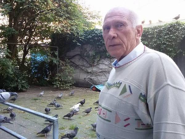 Uneinsichtiger Händler füttert täglich Tauben in Nürnberg