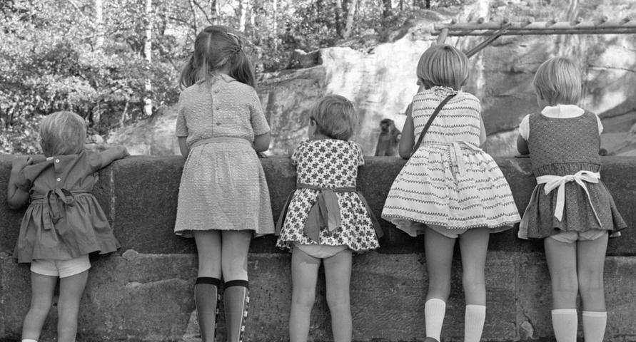 Sommerlich gekleidete Kinder vor dem Affengehege. Es gab viel zu lachen für die Jugend.  Hier geht es zum Artikel vom 5. Oktober 1966: Spaß mit Vierbeinern