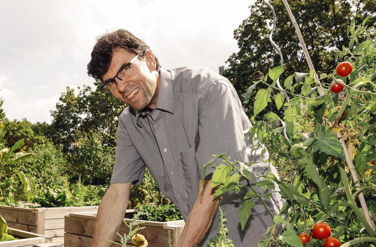 Urban Gardening mitten in Erlangen