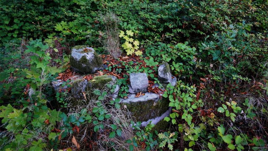 Verlassen und verborgen: Die grüne Idylle im Cadolzburger Horneberspark