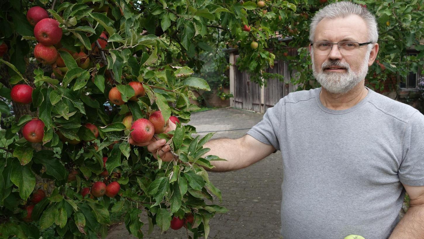 Experte aus Wilhermsdorf berät beim Fürther Apfelmarkt