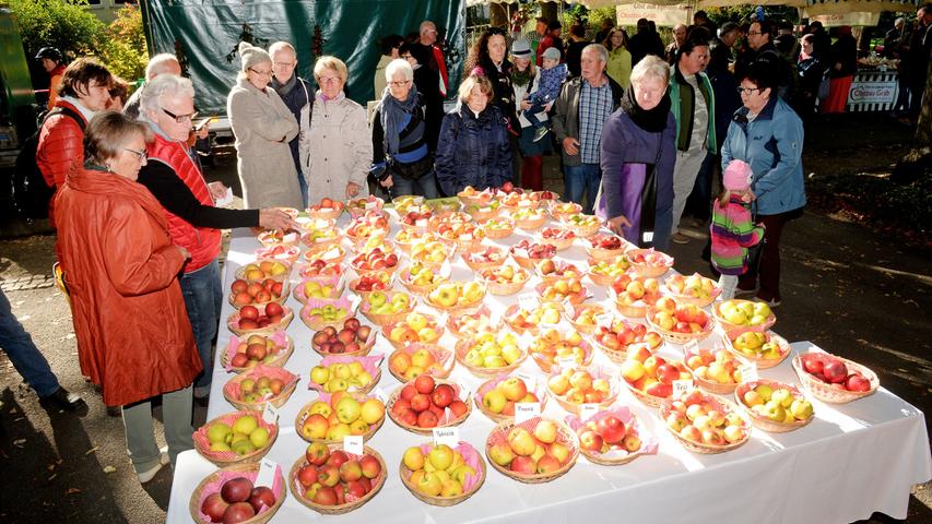 Besonders die Sortenvielfalt hat es den vielen Besuchern des Fürther Apfelmarktes angetan, aber auch der Genuss von leckeren Küchlein, Säften und Apfel-Secco kam nicht zu kurz.