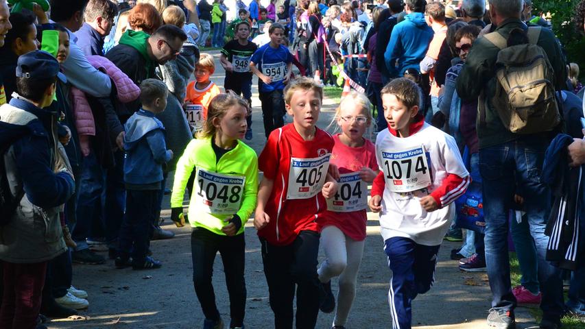 2000 Teilnehmer beim Erlanger Lauf gegen den Krebs