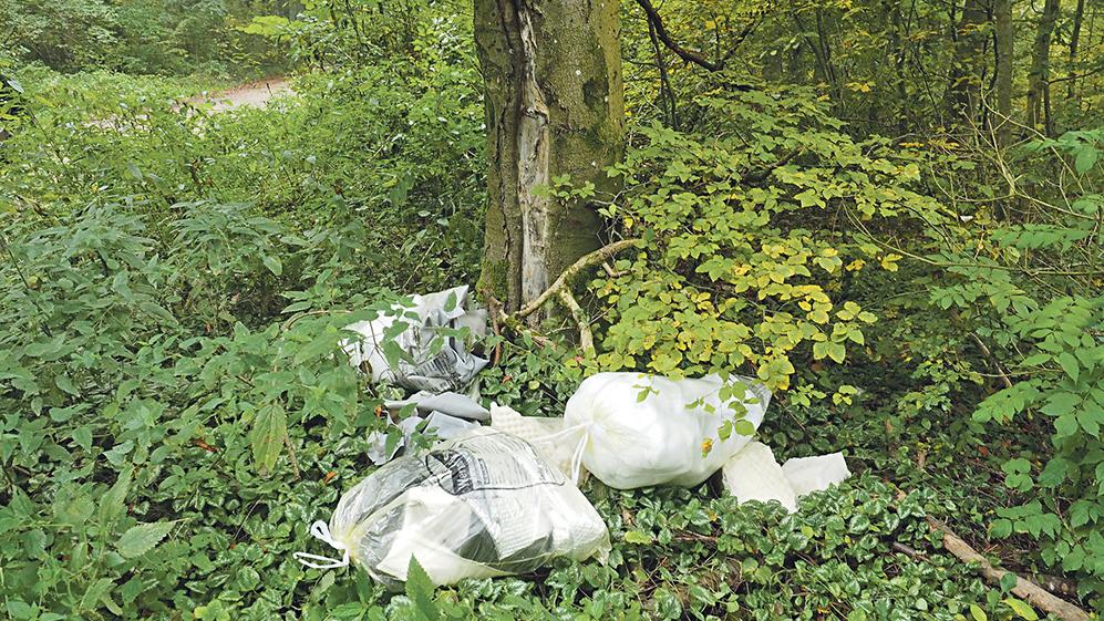 Müllfrevler im Weißenburger Stadtwald