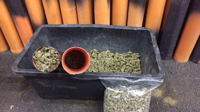 Fast fünf Zentner Marihuana beschlagnahmt