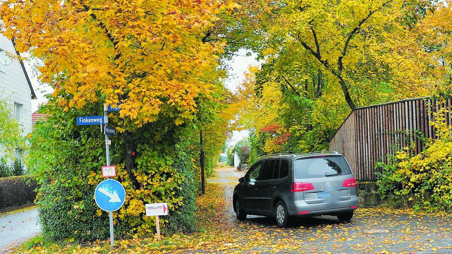 Bäume sorgen in Puschendorf für Ärger