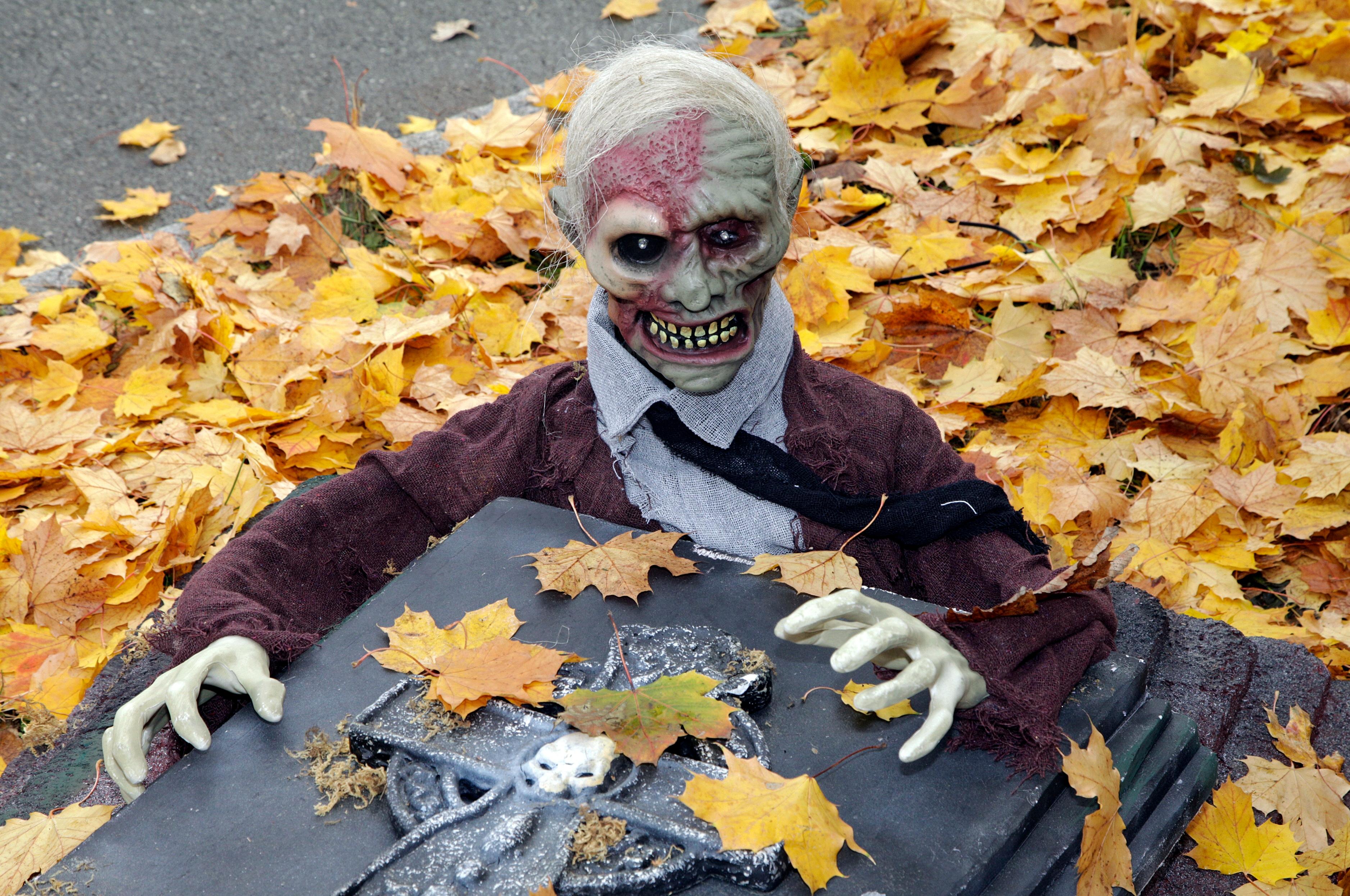 Gruseln In Gebersdorf So Sah Das Halloweenhaus 2016 Aus Nurnberg Nordbayern