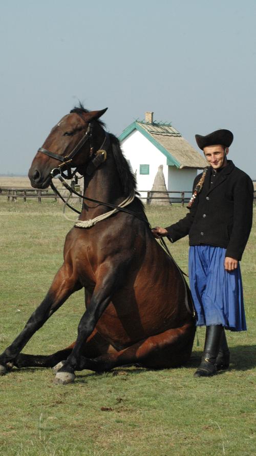 Ein Hirte und sein Pferd sind eine Einheit. Das zeigen die Männer in der Puszta gern.