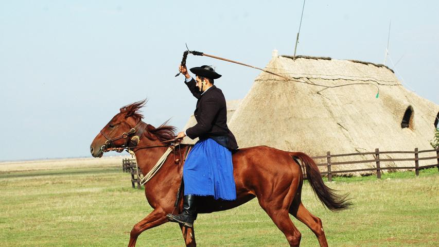 Für die Touristen zeigen die Pferdehirten ihre Reitkünste auf ihren Nonius-Pferden, die im Gestüt von Mata gezüchtet werden. Dort kann man auch Kutschfahrten oder Ritte buchen.