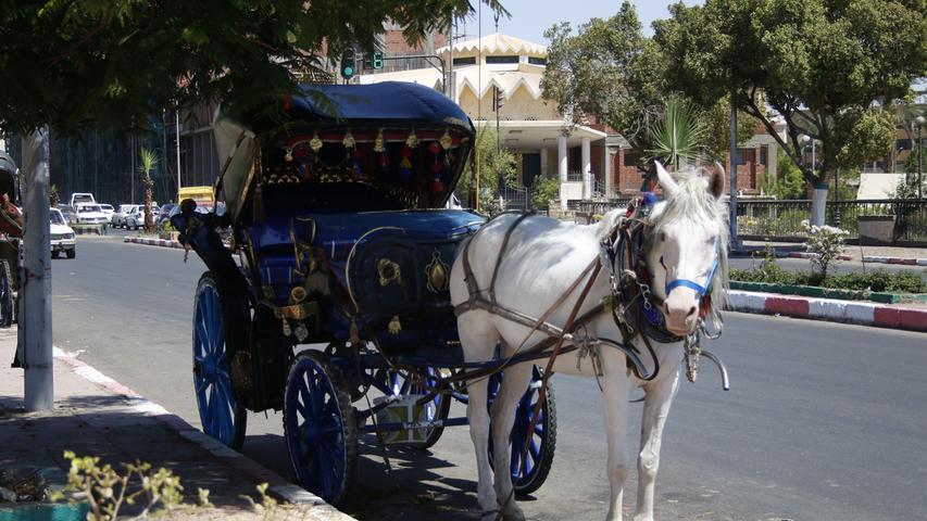 Solche Kutschen warten in Luxor und Assuan fast an jeder Straßenecke auf zahlungskräftige Touristen. So mancher Kutscher hat allerdings mittlerweile große Mühe, genug zu verdienen, um das Pferd ausreichend füttern und medizinisch versorgen zu können.