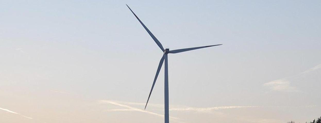 Windpark bei Wachenroth: Zeit drängt