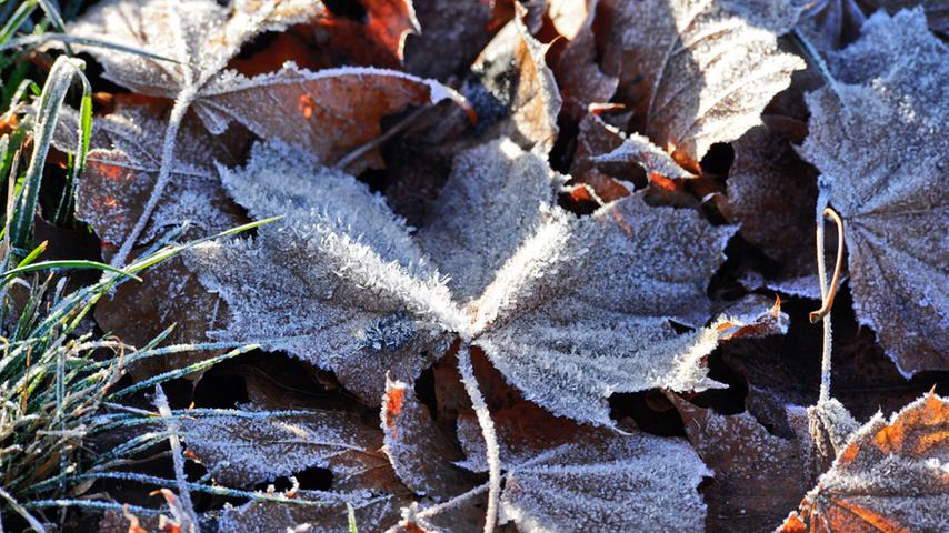 Frostiges Franken: So schön ist die Kälte in der Region