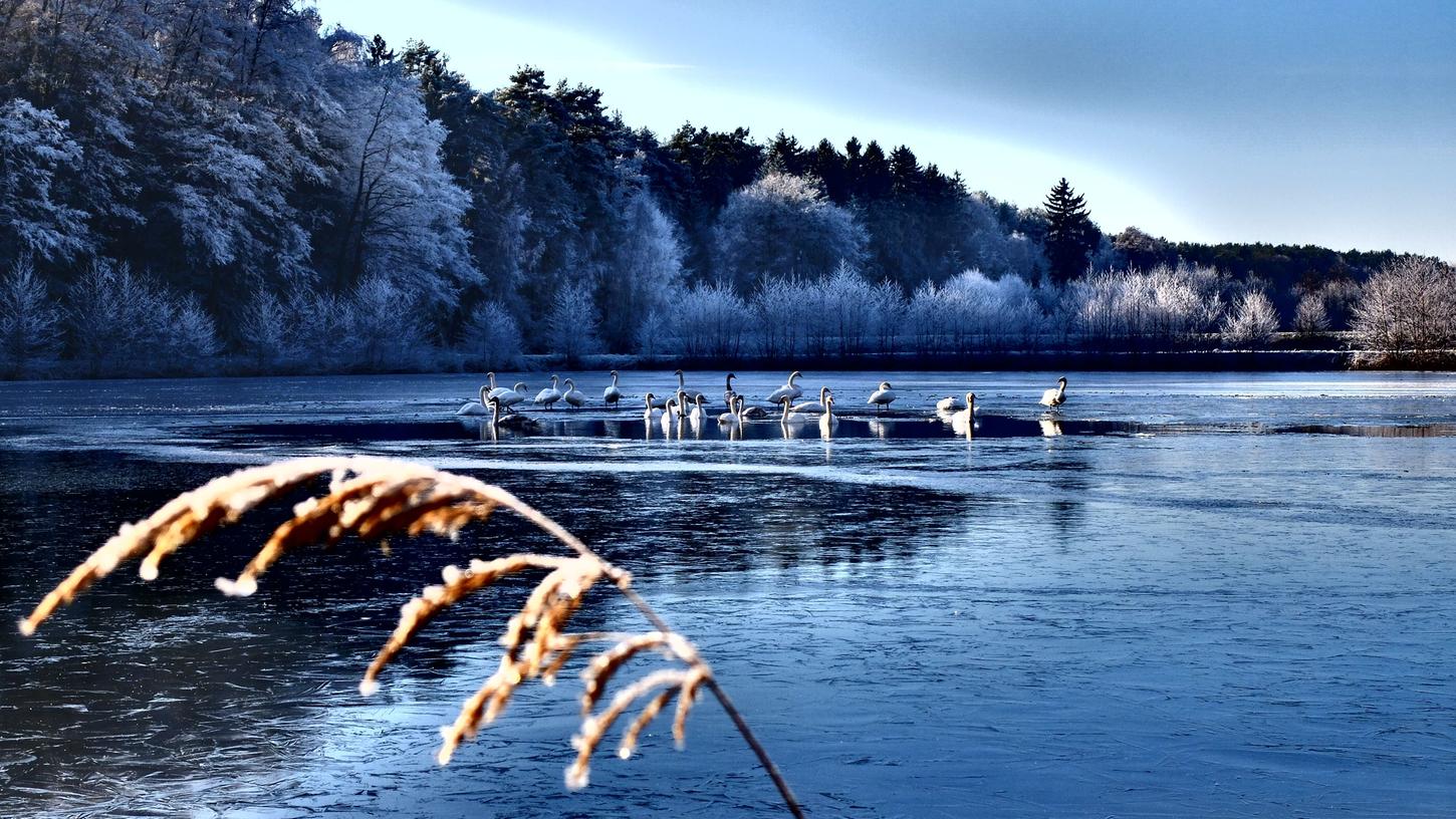 Frost könnte in den nächsten Tagen für zugefrorene Seen in Bayern sorgen.