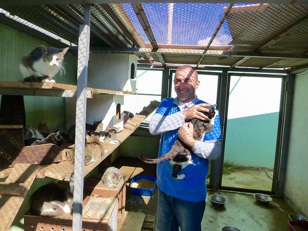 Im Tierheim in Tiflis setzt sich die Wettelsheimerin Barbara Engelhardt für eine bessere Unterbringung der Hunde und Katzen ein. Im Tierheim in Tiflis setzt sich die Wettelsheimerin Barbara Engelhardt für eine bessere Unterbringung der Hunde und Katzen ein.