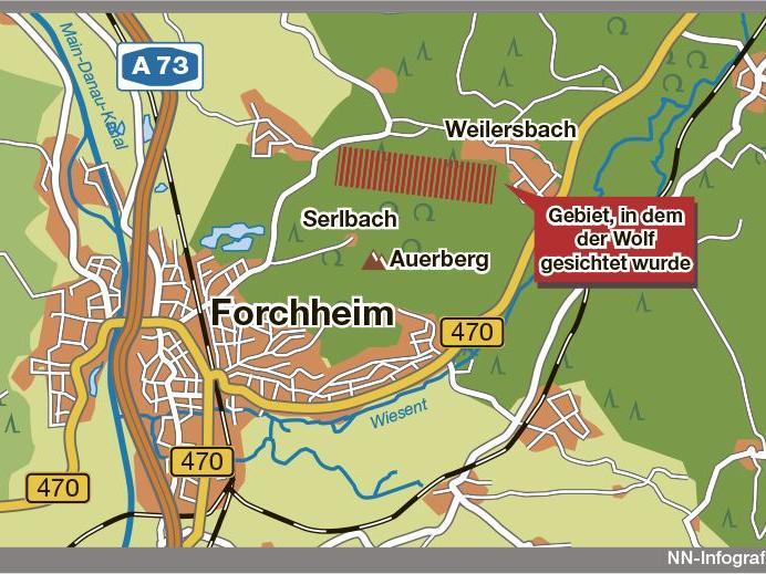 Wolf bei Forchheim könnte aus Sachsen stammen