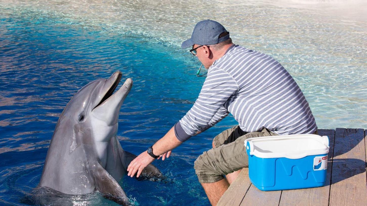 Entgegen Gerüchten: Delfine aus EEP noch nie ausgewildert