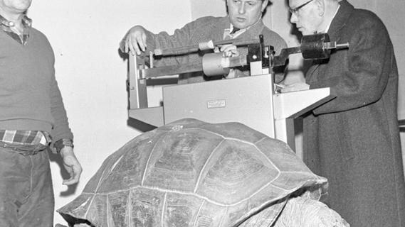 3. Januar 1967: Inventur im Tiergarten