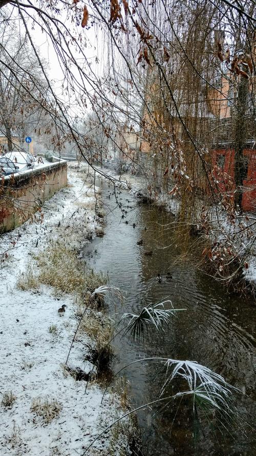 Winter-Impressionen aus Schwabach