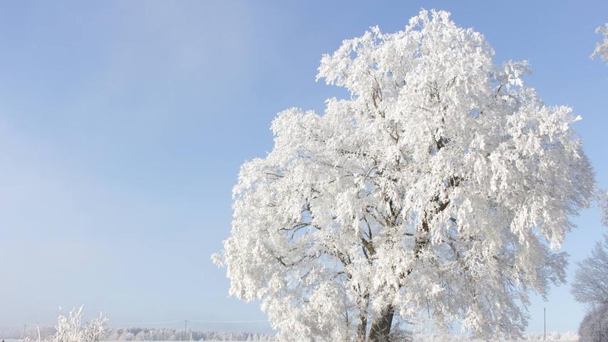 Weiße Pracht: So schön glänzt der erste Schnee in Franken