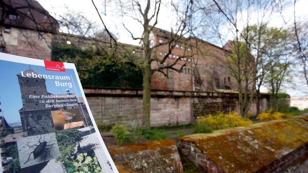 Die Burg ist ein bedeutender Lebensraum: Keller, Mauern, Türme und Grünflächen bieten vielfältige Lebensräume für Pflanzen und Tiere. Im Rahmen des Projekts "Lebensraum Burg" haben Biologen im Bereich der Burg bei Kartierungen auf einer Fläche von etwa 65.000 Quadratmetern rund 1400 Tier- und Pflanzenarten nachgewiesen. Im Burggarten, einem Zier- und Schaugarten, finden sich unter anderem Rabattenblumen, Sonnenhut und Eisenkraut sowie Singvögel. In den unterirdischen Felsengängen hausen Fledermäuse, am Ölberg halten sich gerne Turmfalken auf.