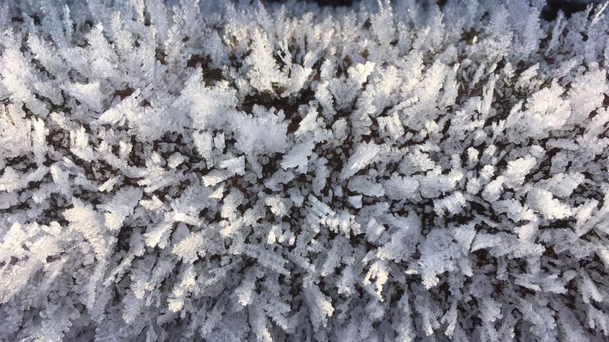 Kleiner Kristallbaum-Wald auf einem Stamm im winterlichen Hagenbach.