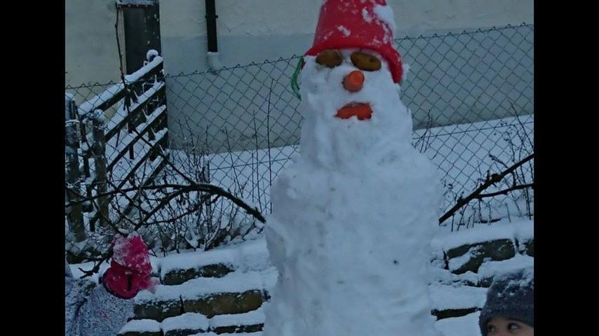Diesen hübschen Schneemann haben die Kinder in Thomas Körmers Garten in Gnotzheim gebaut.