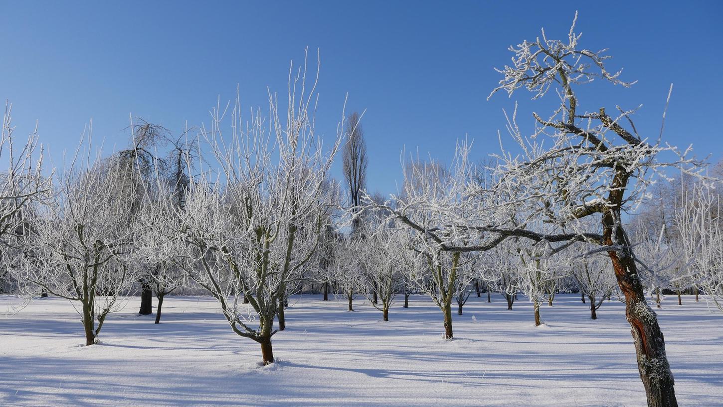 Sonniges Winterwochenende: Tipps für den Landkreis Forchheim 
