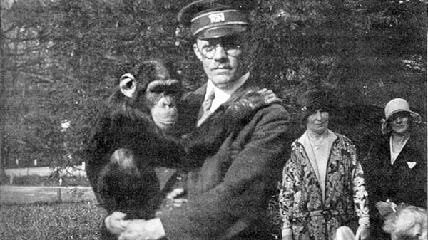 Schimpanse Blacky war einer der Publikumslieblinge der Tiergartenbesucher. Nach dem Ersten Weltkrieg war Nürnberg der einzige Zoo in Deutschland, der zwei Schimpansen hatte. Die beiden starben zwar an einer Infektionskrankheit - Nachfolger Blacky füllte die Lücke zusammen mit Schimpansendame Susette aber mustergültig.