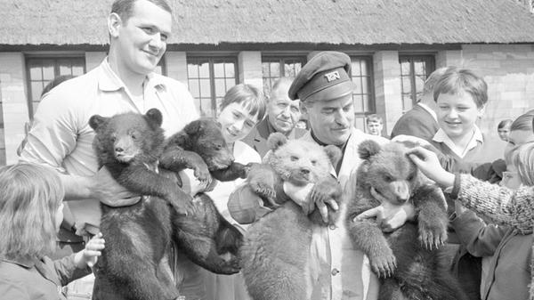 1966 Bärchenstreicheln