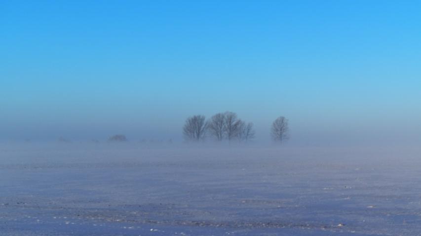 Zwischen Theilenhofen und Rittern sorgt der Nebel für eine zauberhafte Stimmung.
