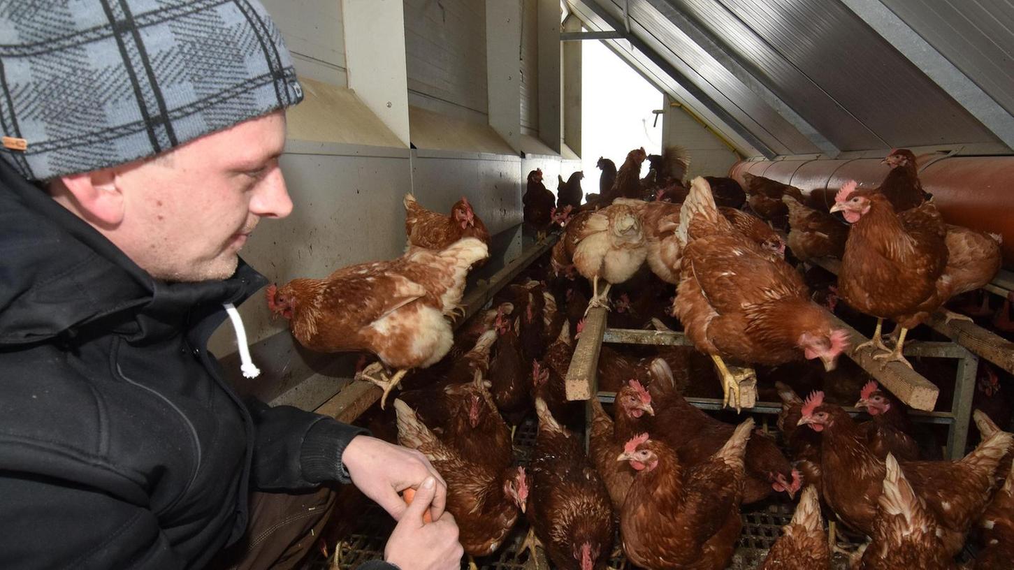 Stress hinter Gittern wegen Vogelgrippe