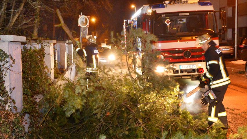 Umgestürzte Bäume, Zugausfälle und kein Strom: Sturmtief "Egon" weht über Franken hinweg und sorgt für zahlreiche Einsätze der Feuerwehr und Polizei wie hier in Erlangen.