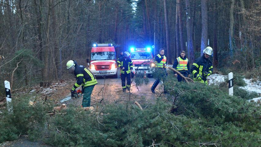 Zahlreiche Straßen in und um Erlangen waren am Freitagvormittag zeitweise gesperrt wegen umgestürzter Bäume.