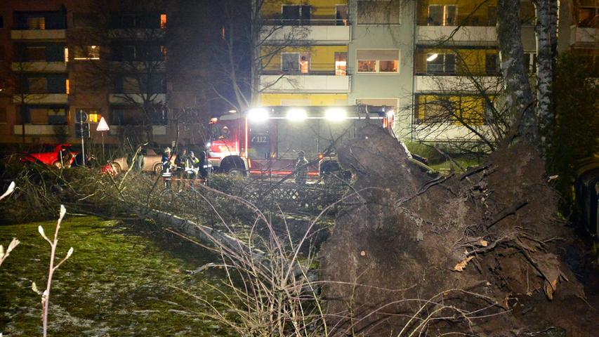 Bereits in der Nacht knickten in Erlangen zahlreiche massive Bäume um. Die Feuerwehren waren im Dauereinsatz.